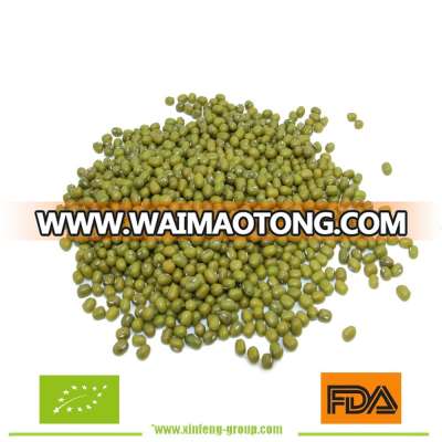 2015 New Crop Green Mung Bean,Green Mung Bean Seeds from China