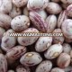 Dry Pinto Beans or Light Speckled Kidney Beans(Long Shape) Size 220-240 pcs