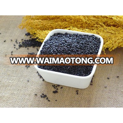 high quality organic black rice from China